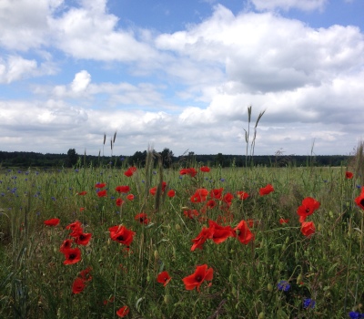 Kończy się lato, zdążyłeś