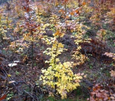 Jak dodać sobie energii?