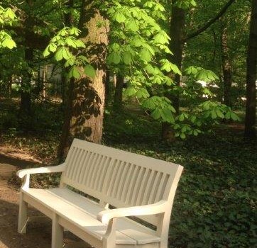 Najważniejsze w maju?